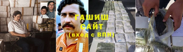 стаф Верея