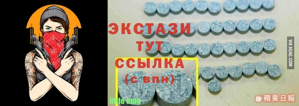 стаф Верея