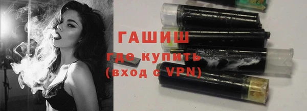 стаф Верея
