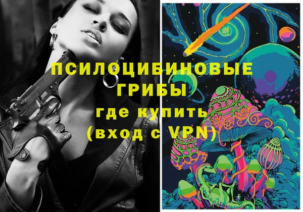 стаф Верея