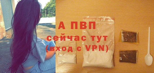 стаф Верея