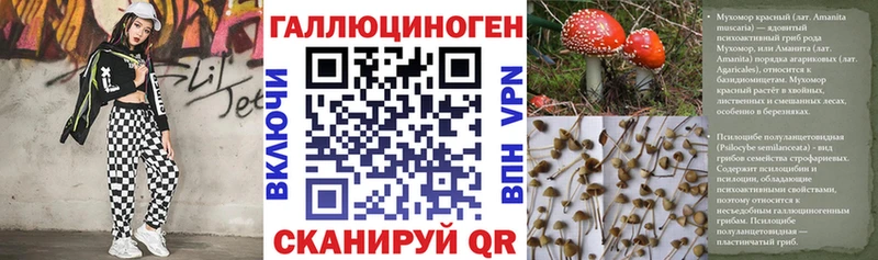 Галлюциногенные грибы Cubensis  даркнет сайт  Томск 