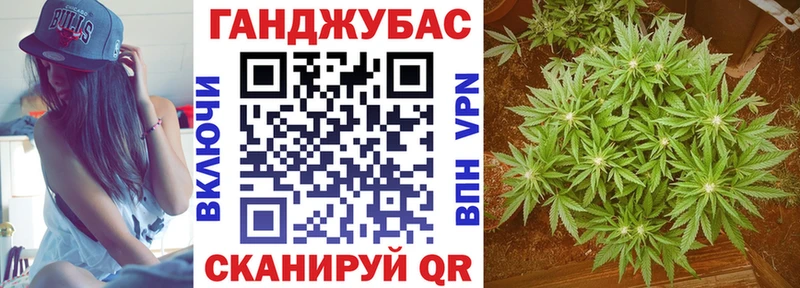 как найти наркотики  Томск  кракен рабочий сайт  Канабис гибрид 